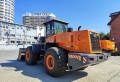 WL-50 [1]