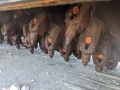 Wirtgen W 200 F [4]