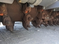 Wirtgen W 200 F [3]