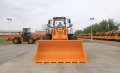 Lonking CDM856 [4]