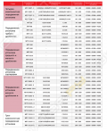 Hongxing MTF 0926S-2 [1]