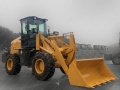 Lonking CDM932N [3]