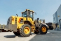 Weheavy WL836H Weichai [18]