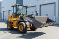 Weheavy WL820H Weichai [16]
