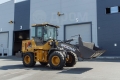 Weheavy WL820H Weichai [22]