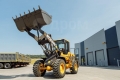 Weheavy WL836H Weichai [14]