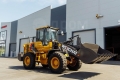 Weheavy WL836H Weichai [13]