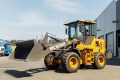 Weheavy WL820H Weichai [4]