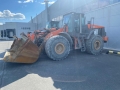 Hitachi ZW 310 [17]