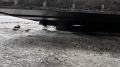 Vogele SUPER 2100-2 [13]