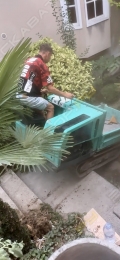 Yanmar C10R [6]