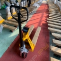 JHLIFT WH-25ES [13]