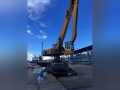 Liebherr A 954 C HD Litronic [12]