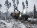 Ponsse Buffalo 8W [17]