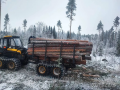 Ponsse Buffalo 8W [12]