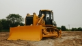 Beezone D16 [11]