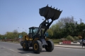 XCMG XC953 [7]