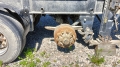 9453-0000010-50 [14]