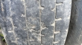5440С9 [16]
