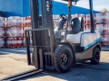 TEU FD25Т [1]