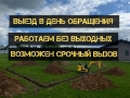 Rippa R319 [1]