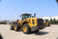 Lovol FL958K [2]