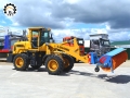 T939 [1]