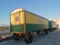 Кедр [5]