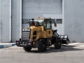 Zauberg WL10 [4]
