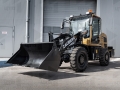 Zauberg WL10 [6]