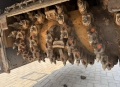 Wirtgen W 150 CFi [3]