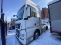 TGX [1]