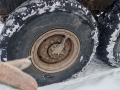 КамАЗ 43118 (борт) [15]