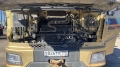 SX331863366 [43]