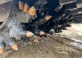Sany SCM2000C-10R [12]