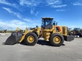 Lovol FL953F-N [1]