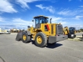 Lovol FL953F-N [5]