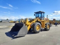 Lovol FL953F-N [9]