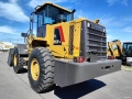 Lovol FL953F-N [21]