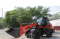 Risheng ZL958 [5]