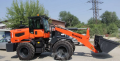 Risheng ZL958 [3]