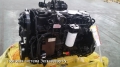Новый двигатель Сummins QSB6,7, двс QSB6.7 [3]