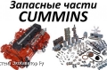 Запчасти cummins Новосибирск [1]