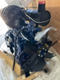 65 [17]