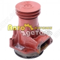 Помпа (клиновый ремень) 131 WD615 XCMG ZL50 SD16 [1]