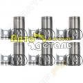 Поршневая группа C6121 SHANGHAI DIESEL [1]