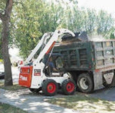 Bobcat S175 [0]