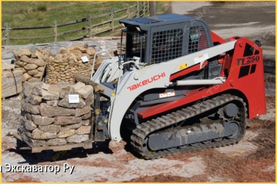 Takeuchi TL 130 [3]