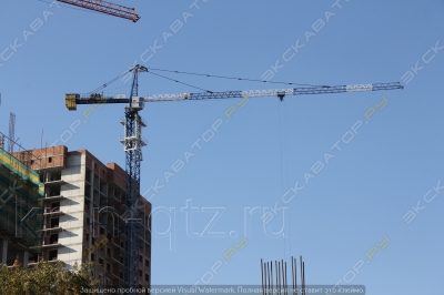 Dongjian QTZ80 [1]