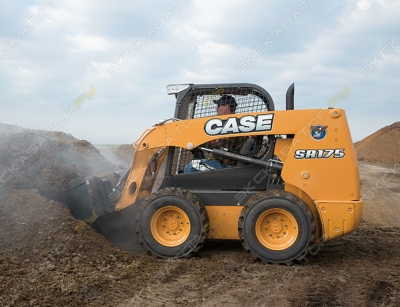 Case SR175 [0]